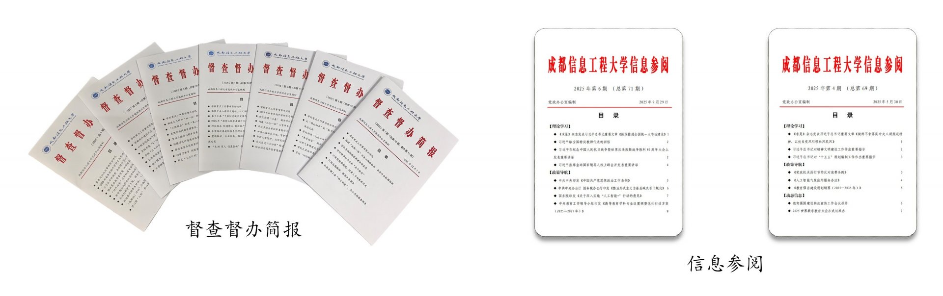 (一)扎实推进党代会筹备工作